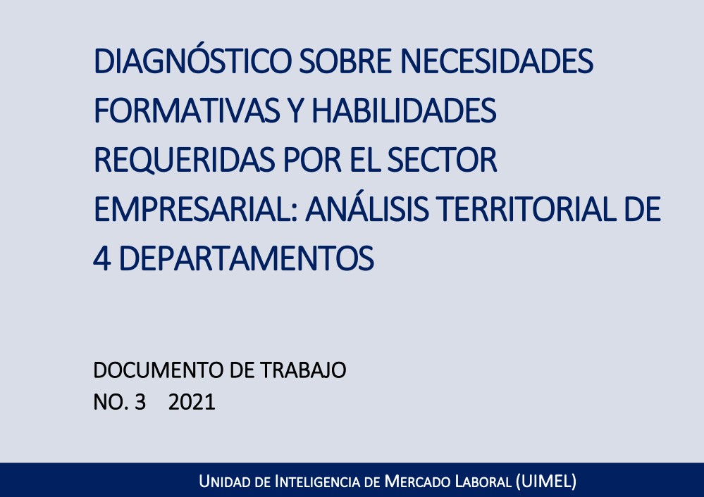 Portada de Diagnóstico sobre necesidades formativas y habilidades